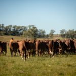 Campeões da PEA serão divulgados durante Dia de Campo