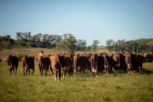 Campeões da PEA serão divulgados durante Dia de Campo