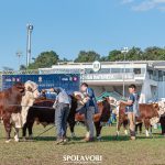 ABHB abre inscrições para a 48ª Expointer
