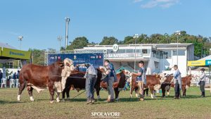ABHB abre inscrições para a 48ª Expointer