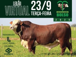 LEILÃO VIRTUAL CABANHA DO BOLSO
