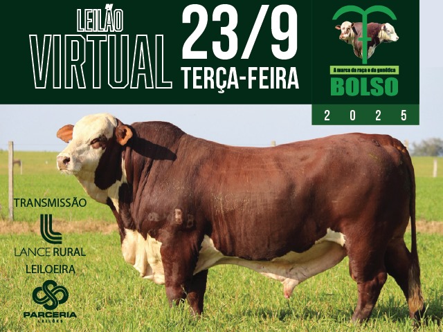 LEILÃO VIRTUAL CABANHA DO BOLSO