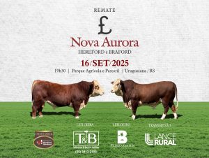 REMATE NOVA AURORA HEREFORD E BRAFORD