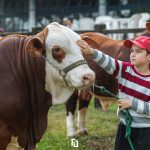 Comissão Jovem HB realiza Dia do Pequeno Cabanheiro na 48ª Expointer