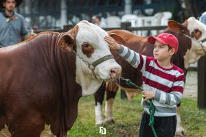 Comissão Jovem HB realiza Dia do Pequeno Cabanheiro na 48ª Expointer