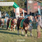 Expointer marcará o início da coleta para o novo Projeto Genômico em Campeões da ABHB