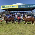 Abertura das Inscrições para o Curso Jurado Jovem na 47ª Expointer