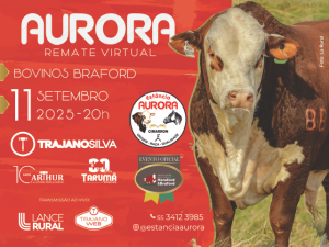 Aurora Remate Virtual