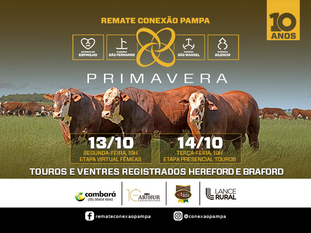 Remate Conexão Pampa Primavera
