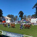 ABHB marca presença na Expo Prado e propriedades brasileiras conquistam destaque na exposição