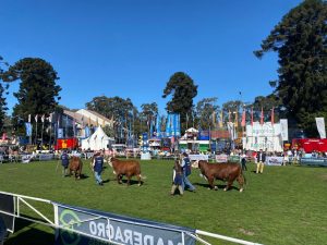 ABHB marca presença na Expo Prado e propriedades brasileiras conquistam destaque na exposição