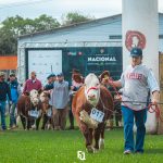 Novas Alterações no Regulamento de Exposições