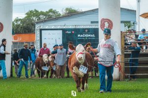 Novas Alterações no Regulamento de Exposições