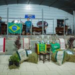 Tradicional Remate da Estância Carcávio e Santa Gertrudes movimenta o mercado Braford com liquidez total e recordes de qualidade