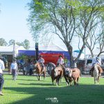Farm Show em Dom Pedrito revela campeões de Exposição das raças Hereford e Braford
