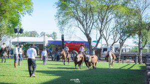 Farm Show em Dom Pedrito revela campeões de Exposição das raças Hereford e Braford