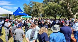 ABHB participa do Dia de Campo da Embrapa Pecuária Sul