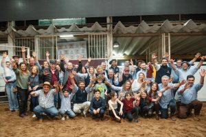 Remate Conexão Pampa Primavera celebra 10 anos com vendas expressivas e genética de excelência