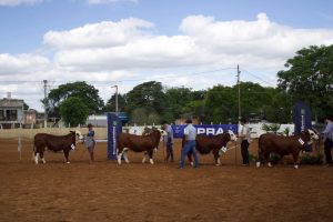 Copa HB Sub-15 marca o retorno das exposições em Santana do Livramento/RS