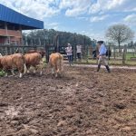 Conheça os campeões da ExpoVac
