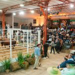 ABHB encerra temporada 2025 de remates oficiais com crescimento expressivo e recordes de faturamento