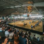 Exposição Nacional Hereford e Braford já tem data e promete uma edição histórica