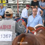 ABHB divulga lista de jurados indicados pelo CDT para a Nacional Hereford e Braford e Expointer no ano de 2026.