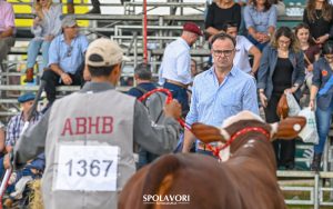 ABHB divulga lista de jurados indicados pelo CDT para a Nacional Hereford e Braford e Expointer no ano de 2026.