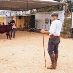 Exposição de Francisco Beltrão 2026 abre inscrições e integra calendário oficial da ABHB