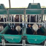 Inscrições abertas para Prova de Eficiência Alimentar 2026