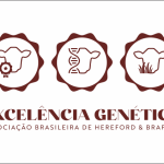 ABHB lança iniciativa inédita com selo e certificado “Excelência Genética” para valorizar seleção equilibrada nas raças Hereford e Braford