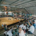 ABHB divulga programação da 20ª Exposição Nacional Hereford e Braford em Esteio