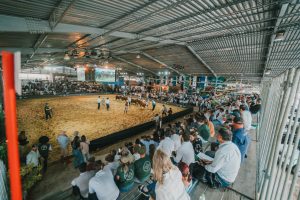 ABHB divulga programação da 20ª Exposição Nacional Hereford e Braford em Esteio