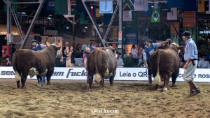 Inscrições abertas para a 20ª Exposição Nacional Hereford e Braford