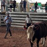 Inscrições prorrogadas para Exposição de Francisco Beltrão