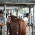 Diretoria da ABHB e CDT aprovam abertura de edital para seleção de novos Inspetores Técnicos de Registro