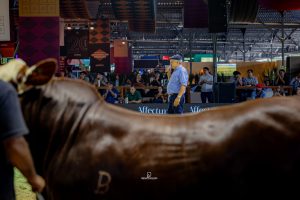 Prática em pista encerra Curso de Julgamento na Nacional Hereford e Braford