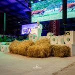 Leilão Seleção Hereford & Braford abre agenda comercial com boas médias na Exposição Nacional