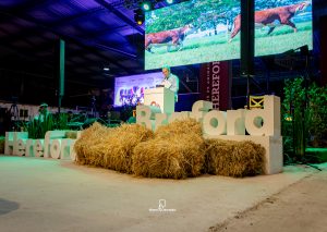Leilão Seleção Hereford & Braford abre agenda comercial com boas médias na Exposição Nacional
