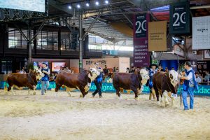 Nacional Hereford e Braford buscou reforçar a valorização da genética aliada ao mercado