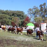 Abertas as inscrições para a Exposição Especial de Outono Uruguaiana 2026