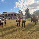 Exposição Especial de Outono em Uruguaiana premia genética Hereford e Braford
