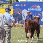 ABHB abre as inscrições para a 49ª Expointer