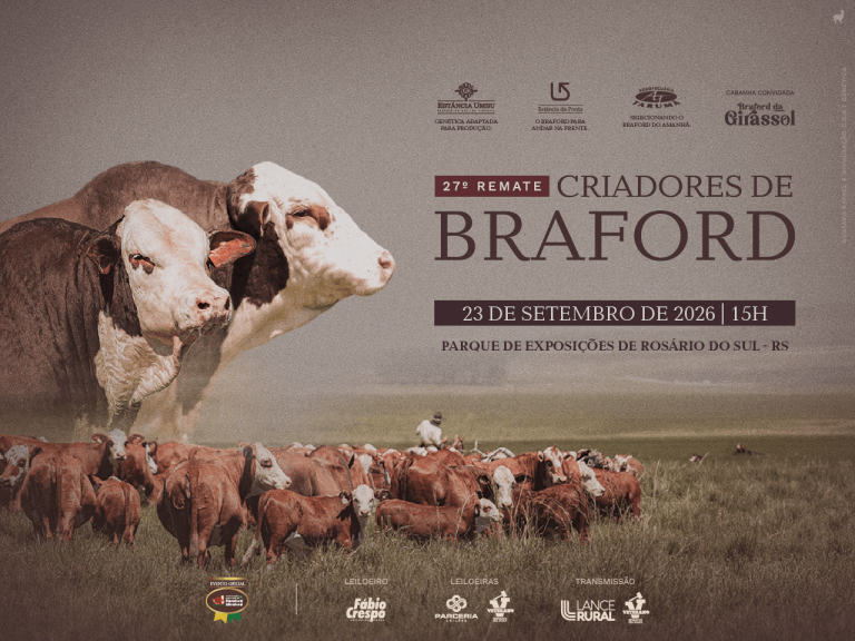 27° Remate Criadores de Braford