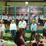 Leilão Pitangueira comercializa touros Braford com média de R$ 25,7 mil