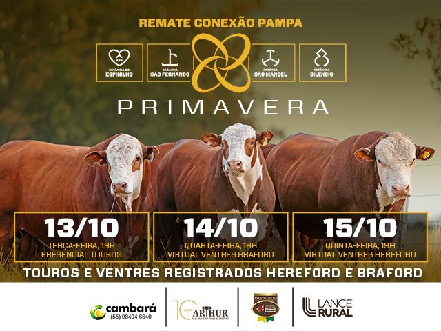 Conexão Pampa- Primavera