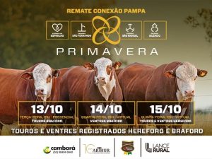 Conexão Pampa- Primavera