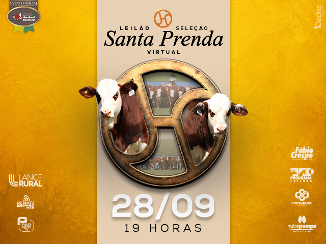 Leilão Seleção Santa Prenda