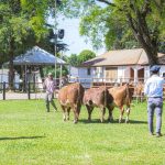 Inscrições abertas para a 93ª Exposição Agropecuária de Dom Pedrito – Farm Show 2026